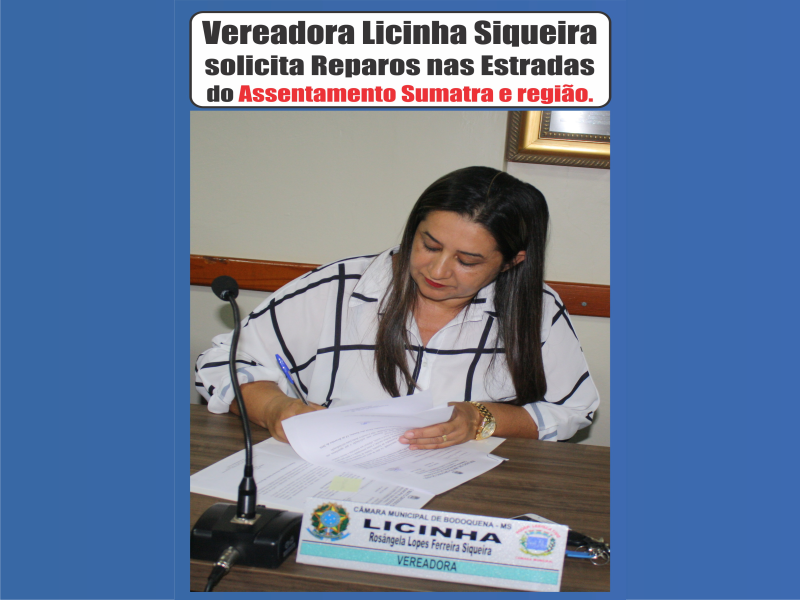 Leia mais sobre o artigo Vereadora Licinha Siqueira solicita Reparos nas Estradas do Assentamento Sumatra e região.