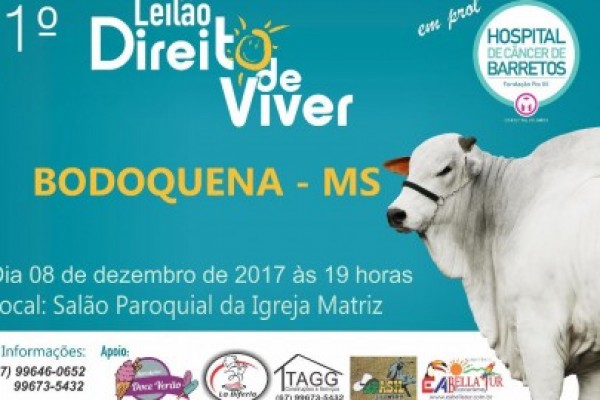 Leia mais sobre o artigo 1º Leilão Direito de Viver será nesta sexta-feira em Bodoquena