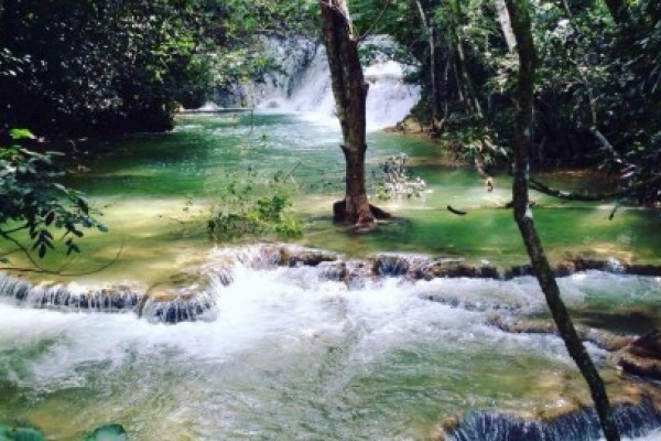 Leia mais sobre o artigo Leis referentes ao Fundo Municipal e Políticas de Meio Ambiente são votadas e aprovadas na Câmara de Bodoquena