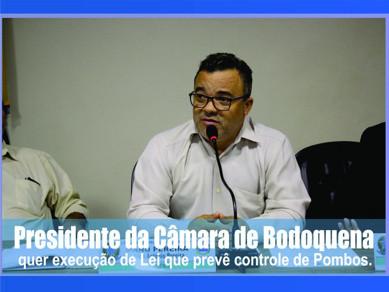 Leia mais sobre o artigo Presidente da Câmara de Bodoquena quer execução de Lei que prevê controle de Pombos.