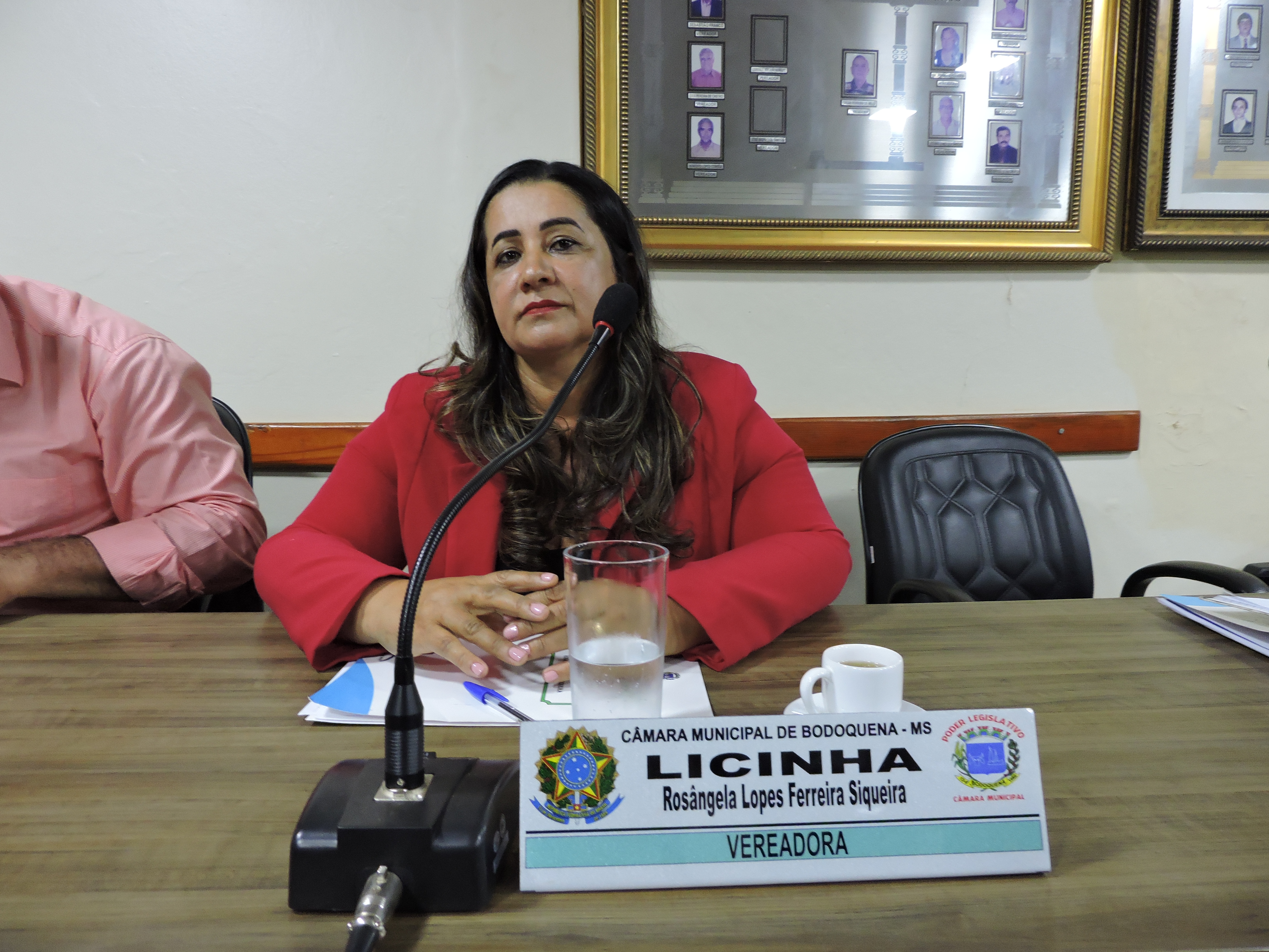 Leia mais sobre o artigo Vereadora Licinha pede área de Lazer e Parquinho Infantil para a vila Sol Nascente.