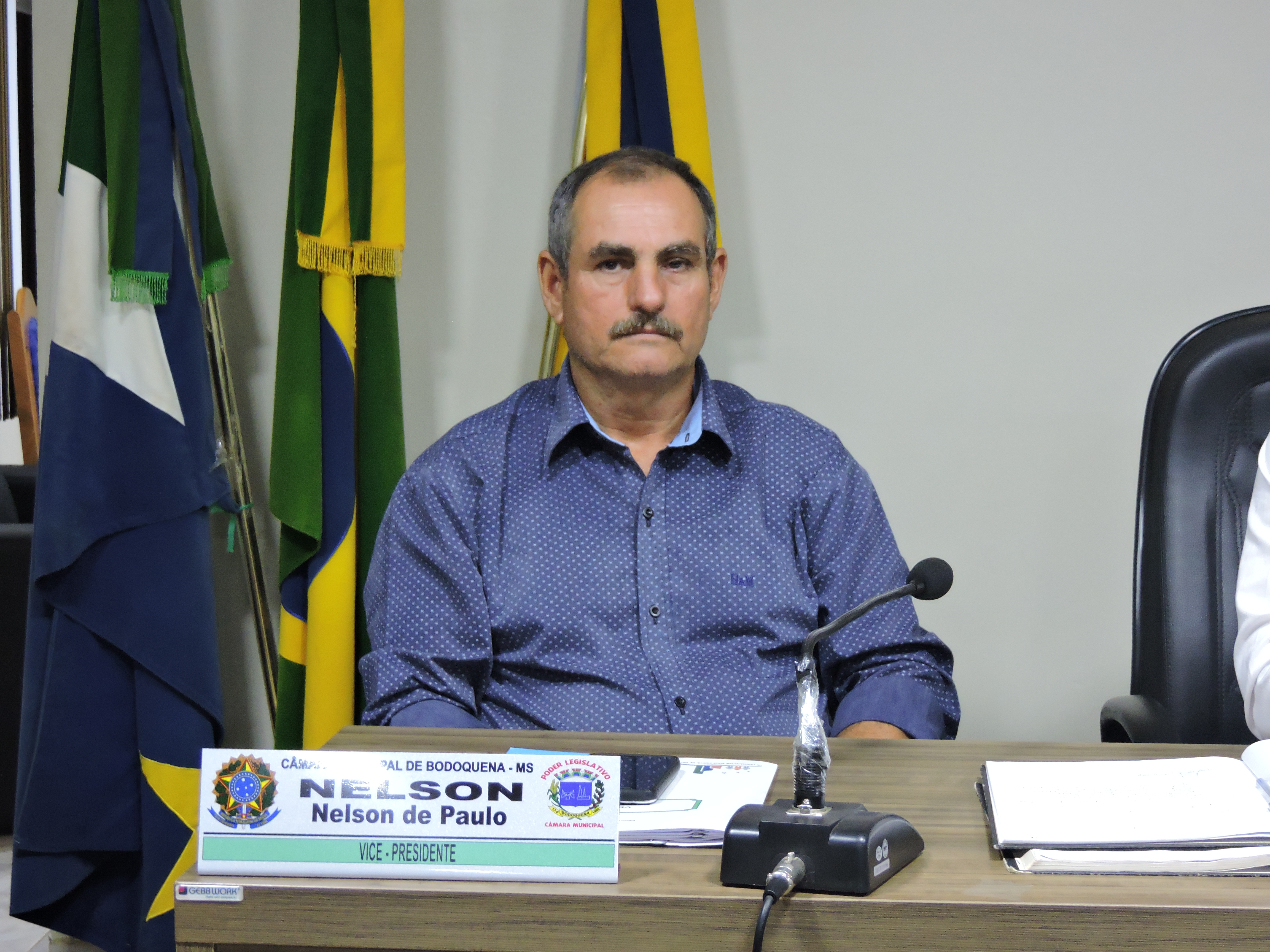 Leia mais sobre o artigo Vereador Nelson de Paula, pede melhorias para Escolas Municipais.