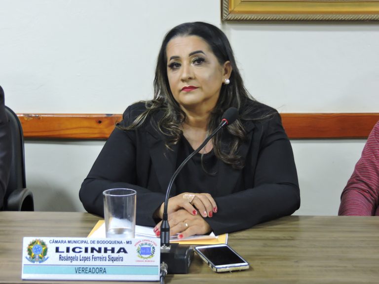 Leia mais sobre o artigo Vereadora Licinha Siqueira solicita recuperação da estrada do Chapena.