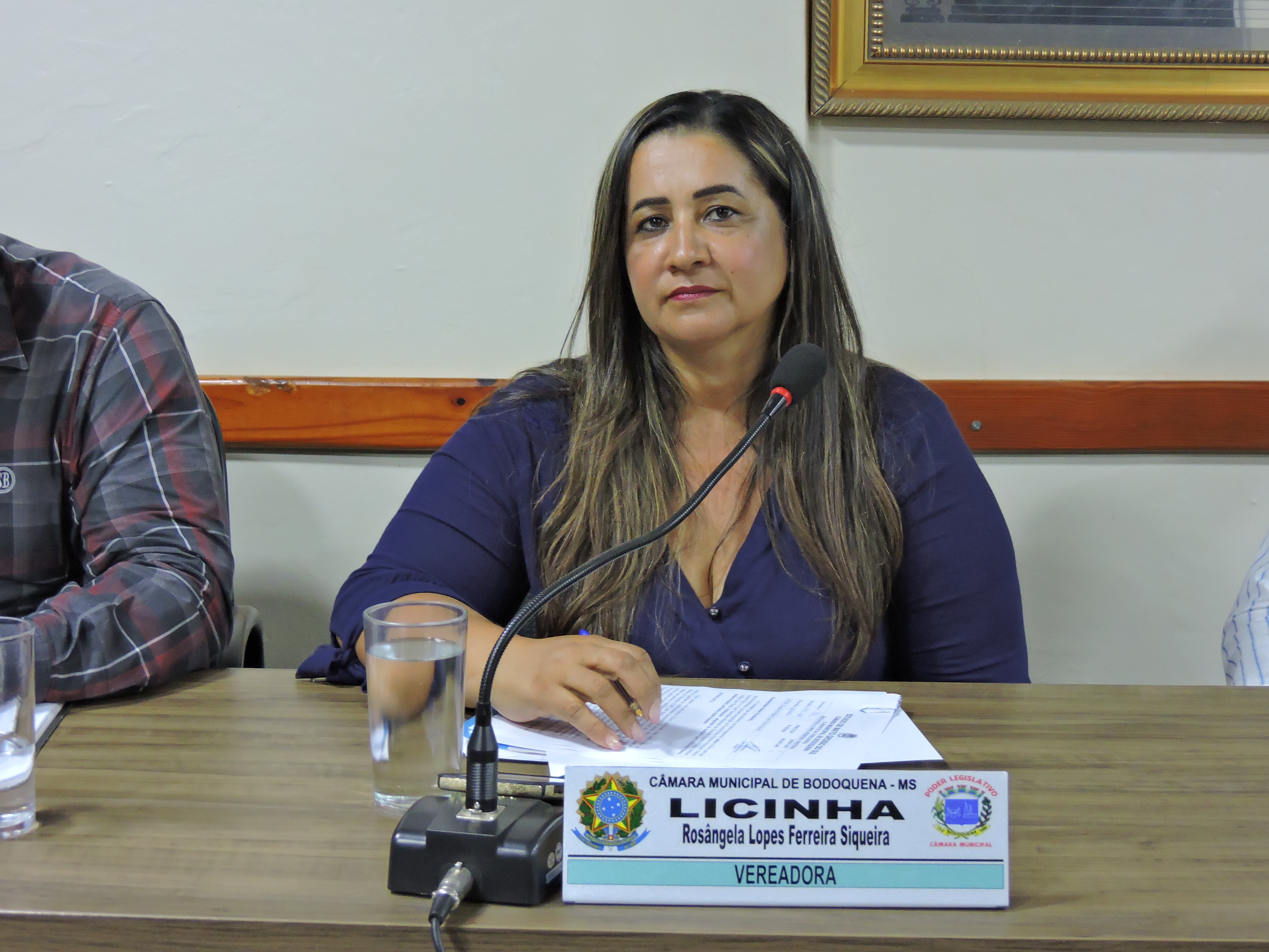 Leia mais sobre o artigo Vereadora Licinha solicita Emenda Estadual para a aquisição de um aparelho de Raio X para atender o Hospital  Municipal Francisco Sales.