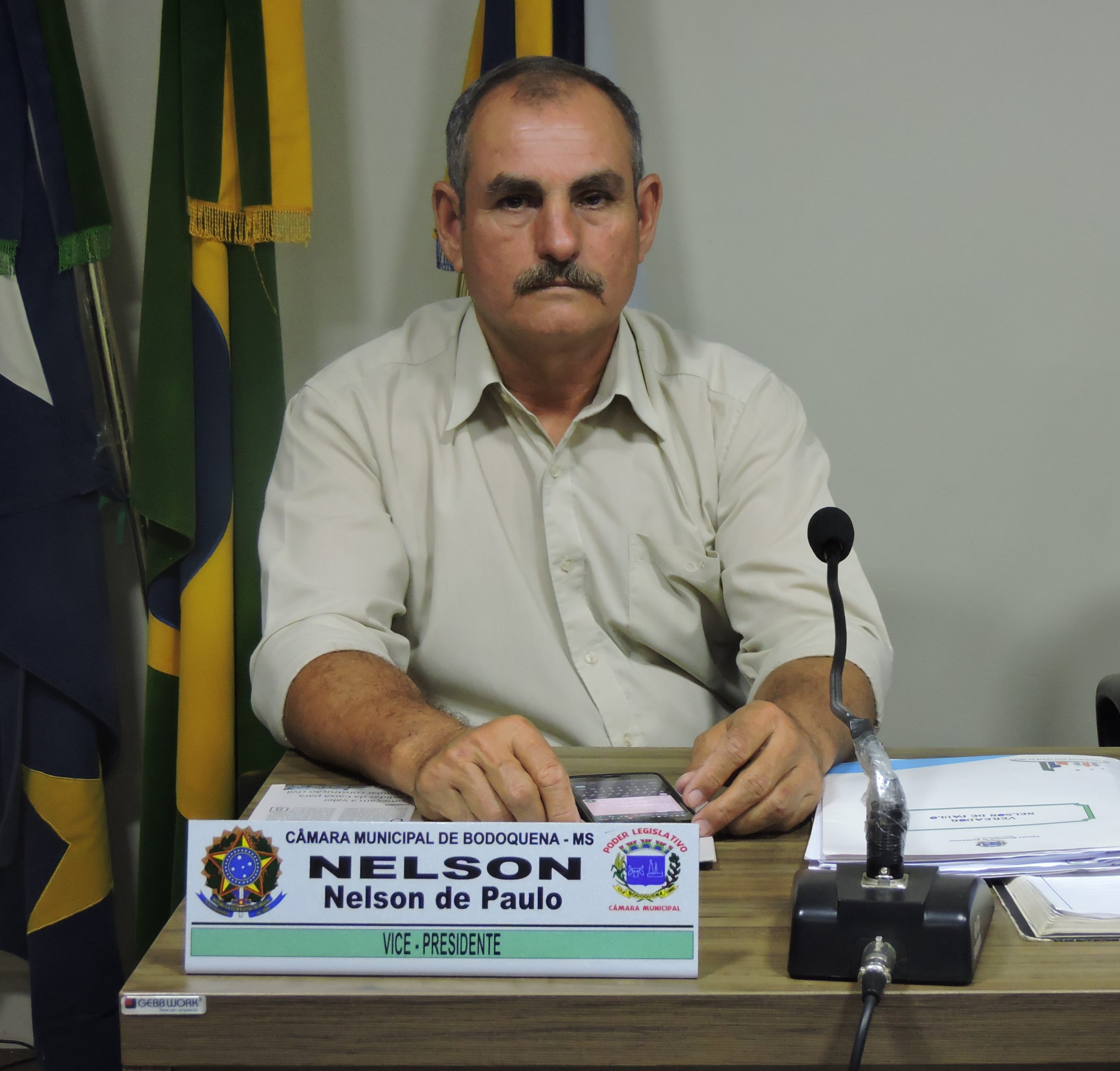 Leia mais sobre o artigo Vereador Nelson de Paula solicita serviços de recuperação em estradas de acesso ao campo de Instrução Betione-CIB, a partir da MS-339.